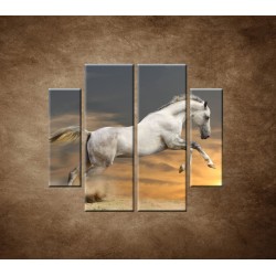 Obrazy na stenu - Kôň pri západe slnka - 4dielny 100x90cm