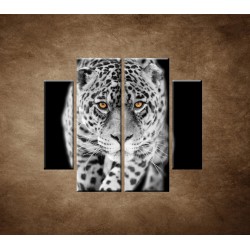 Obrazy na stenu - Čiernobiely jaguár - 4dielny 100x90cm