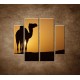 Obrazy na stenu - Ťava na Sahare - 4dielny 100x90cm