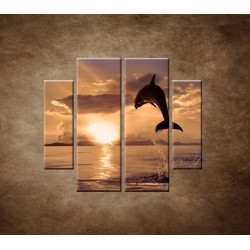 Obrazy na stenu - Skákajúci delfín - 4dielny 100x90cm