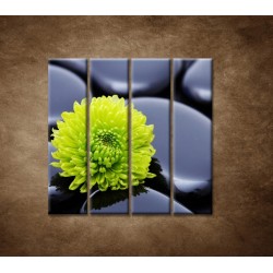 Obrazy na stenu - Žlto-zelený kvet - 4dielny 120x120cm