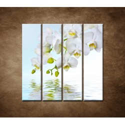 Obrazy na stenu - Biela orchidea nad hladinou - 4dielny 120x120cm