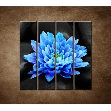Obrazy na stenu - Modrý kvet na kameňoch - 4dielny 120x120cm