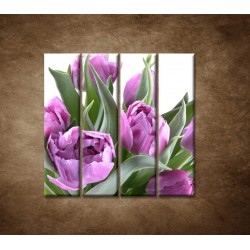 Obrazy na stenu - Nežné tulipány - 4dielny 120x120cm