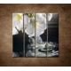 Obrazy na stenu - Biely kvet nad vodou - 4dielny 120x120cm