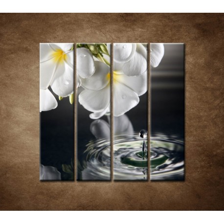 Obrazy na stenu - Biely kvet nad vodou - 4dielny 120x120cm