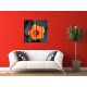 Obrazy na stenu - Oranžový ibištek na kameni - 4dielny 120x120cm