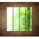 Obrazy na stenu - Bambusový výhonok - 4dielny 120x120cm