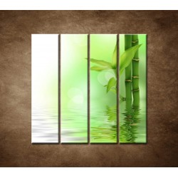 Obrazy na stenu - Bambusový výhonok - 4dielny 120x120cm