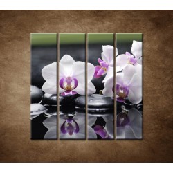 Obrazy na stenu - Ružová orchidea a kamene - 4dielny 120x120cm