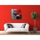 Obrazy na stenu - Červená gerbera a kamene - 4dielny 120x120cm