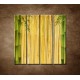Obrazy na stenu - Bambusové stonky - 4dielny 120x120cm