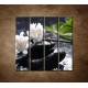 Obrazy na stenu - Sakura na kameni - 4dielny 120x120cm