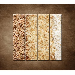 Obrazy na stenu - Tri druhy ryže - 4dielny 120x120cm