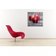 Obrazy na stenu - Červené jablká - 4dielny 120x120cm