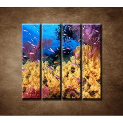 Obrazy na stenu - Korálový útes - 4dielny 120x120cm