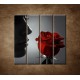 Obrazy na stenu - Žena s ružou - 4dielny 120x120cm