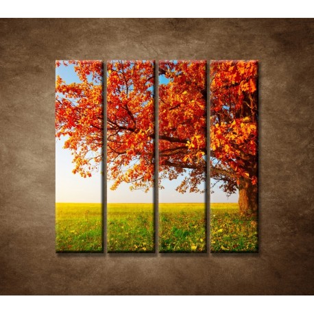 Obrazy na stenu - Jesenný dub - 4dielny 120x120cm