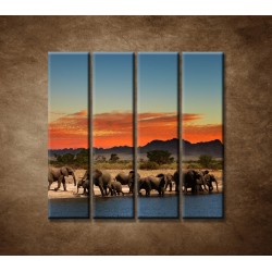 Obrazy na stenu - Safari - 4dielny 120x120cm