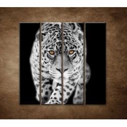 Obrazy na stenu - Čiernobiely jaguár - 4dielny 120x120cm
