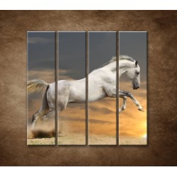 Obrazy na stenu - Kôň pri západe slnka - 4dielny 120x120cm