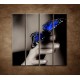 Obrazy na stenu - Modrý motýľ - 4dielny 120x120cm