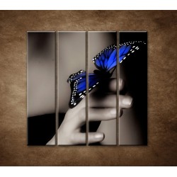 Obrazy na stenu - Modrý motýľ - 4dielny 120x120cm