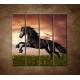 Obrazy na stenu - Čierny kôň - 4dielny 120x120cm