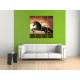 Obrazy na stenu - Čierny kôň - 4dielny 120x120cm