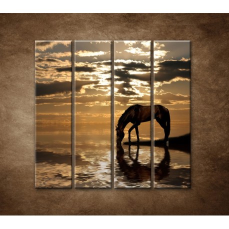 Obrazy na stenu - Kôň pri jazere - 4dielny 120x120cm