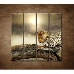 Obrazy na stenu - Odpočívajúci leopard - 4dielny 120x120cm