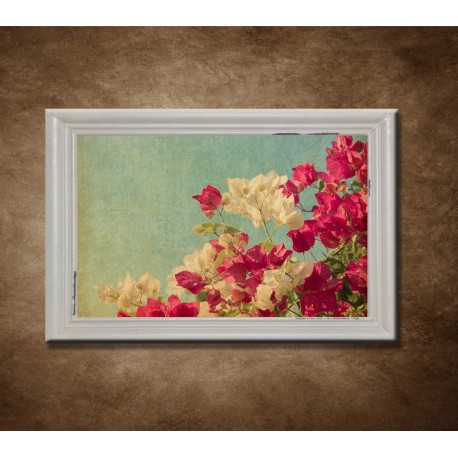 Obraz na stenu - Popínavé kvety - bledý rám