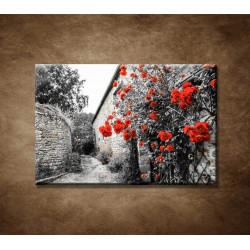 Obrazy na stenu - Červené ruže