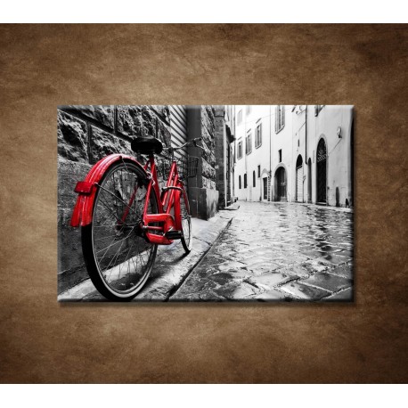 Obrazy na stenu - Červený bicykel