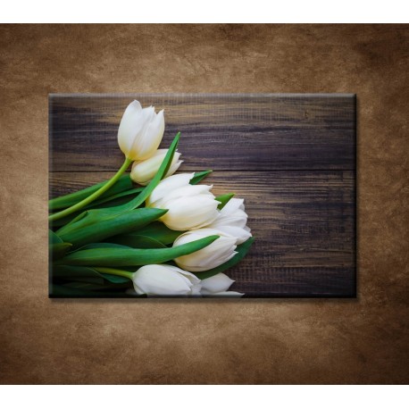 Obrazy na stenu - Prvé tulipány