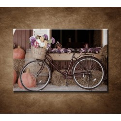 Bicykel a kvety