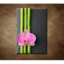 Obrazy na stenu - Orchidea a bambus
