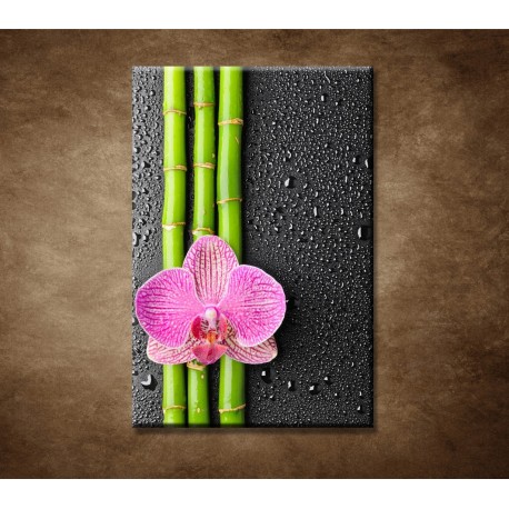 Obrazy na stenu - Orchidea a bambus