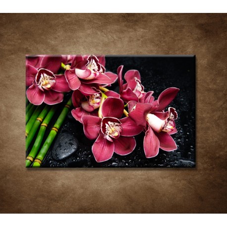 Obrazy na stenu - Bordová orchidea a bambus