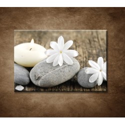 Sivé kamene a biele kvety