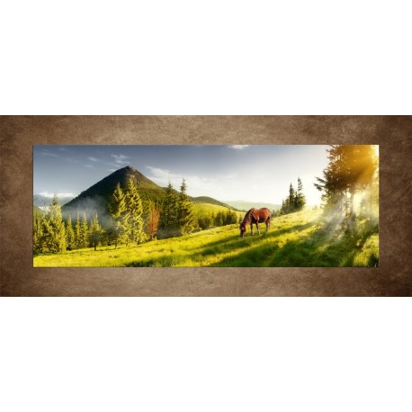 Obrazy na stenu - Kôň na pastvine