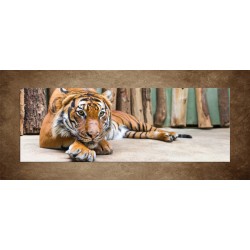 Obrazy na stenu - Odpočívajúci tiger