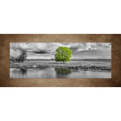 Obrazy na stenu - Zelený strom - panoráma
