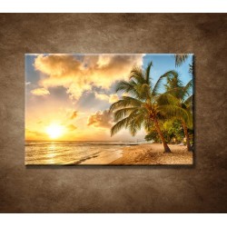 Obrazy na stenu - Biela pláž