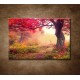 Obrazy na stenu - Jesenné stromy v lese