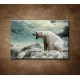 Obrazy na stenu - Polárny medveď