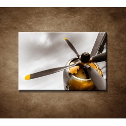 Obrazy na stenu - Staré lietadlo