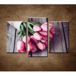 Obrazy na stenu - Jarné tulipány - 3dielny 75x50cm