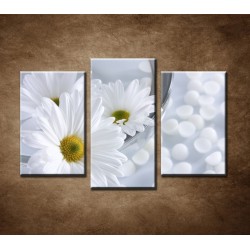 Obrazy na stenu - Kvety vo vode - 3dielny 75x50cm