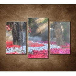 Obrazy na stenu - Kvetinová záhrada - 3dielny 75x50cm
